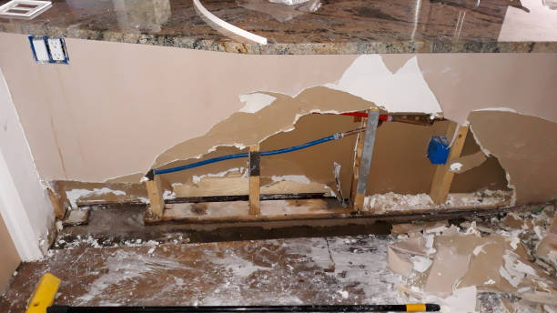 Best 24/7 water damage repair  in Norfolk, NE