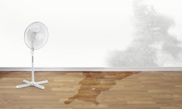 Best Fire Damage Restoration  in Norfolk, NE