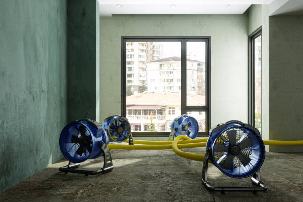 Best Residential water damage restoration  in Norfolk, NE