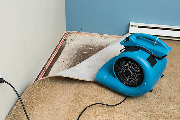 Best Sewage cleanup and water damage restoration  in Norfolk, NE